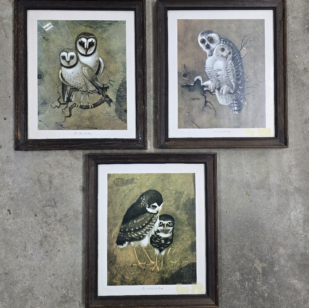 3 Vintage Richard Hinger owl Matted & Framed 8x10 Pictures